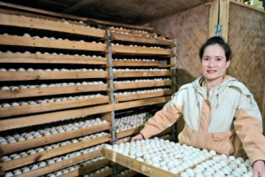 Anh nông dân mỗi năm bỏ túi 3 tỷ đồng nhờ nuôi con hiền lành mê nước