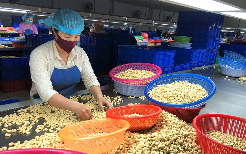 Việt Nam chi 1,73 tỷ USD mua 1,36 triệu tấn hạt điều