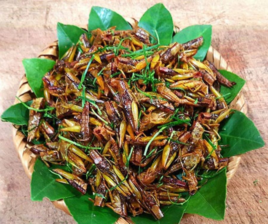 Người đàn ông nhập viện cấp cứu chỉ sau 30 phút ăn đặc sản này