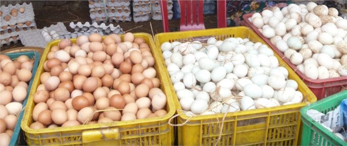 Trứng vỏ trắng hay nâu tốt hơn, phân biệt trứng thật giả như thế nào?